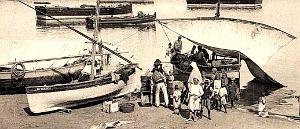 1089- Beni-saf - Les Bateaux-pecheurs2